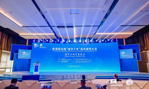 ​鑫桥会展：以 “连接” 为桥深耕二十载，铸就会展全链路服务标杆