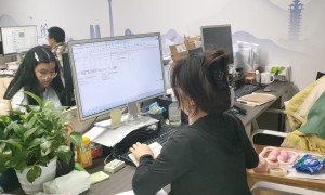 成都代理记账服务转型观察：透明化与定制化如何重构行业信任