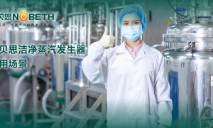 制药洁净蒸汽定制方案：诺贝思如何攻克GMP合规难题